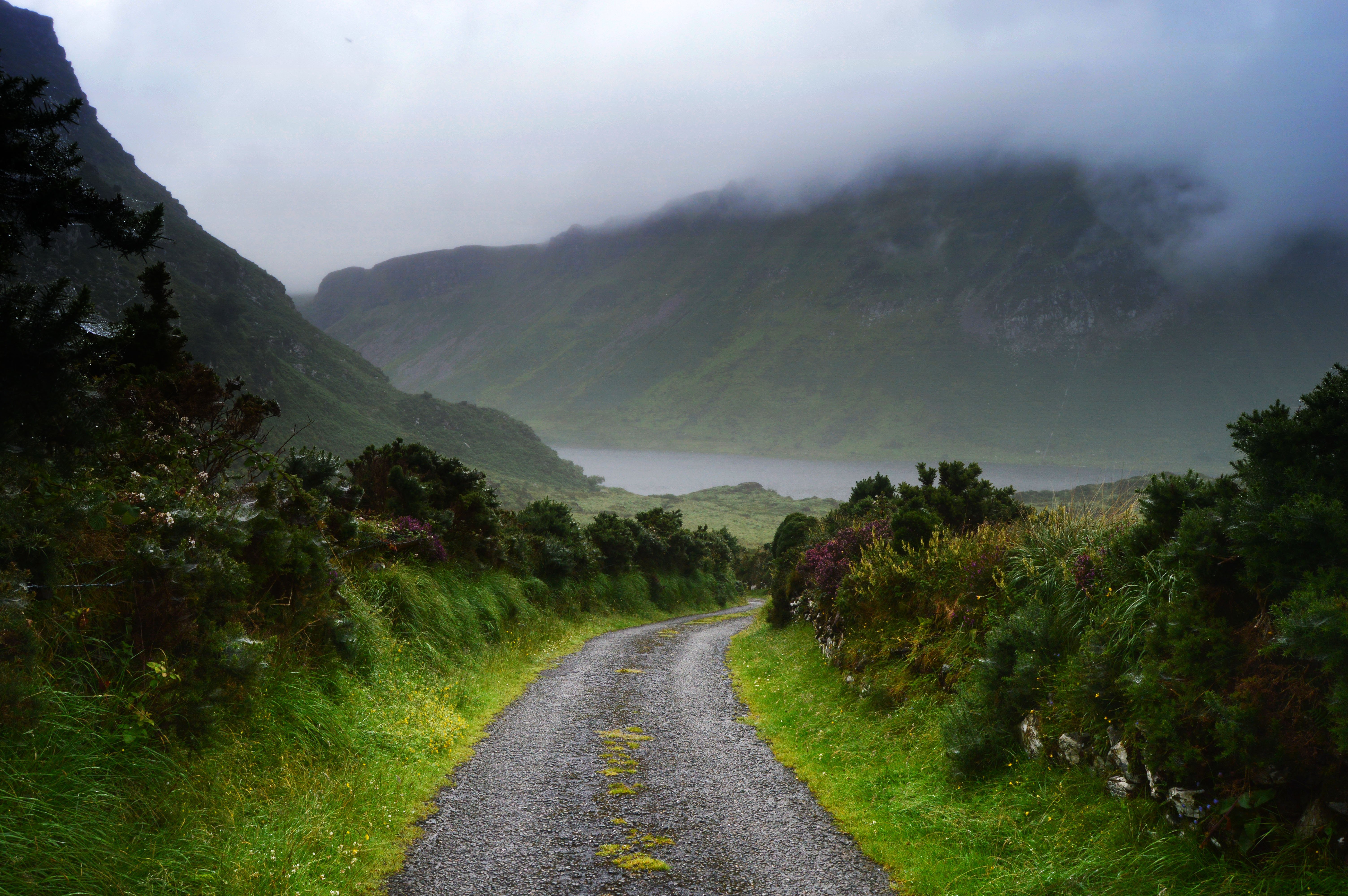 Road in Dingle, Ireland